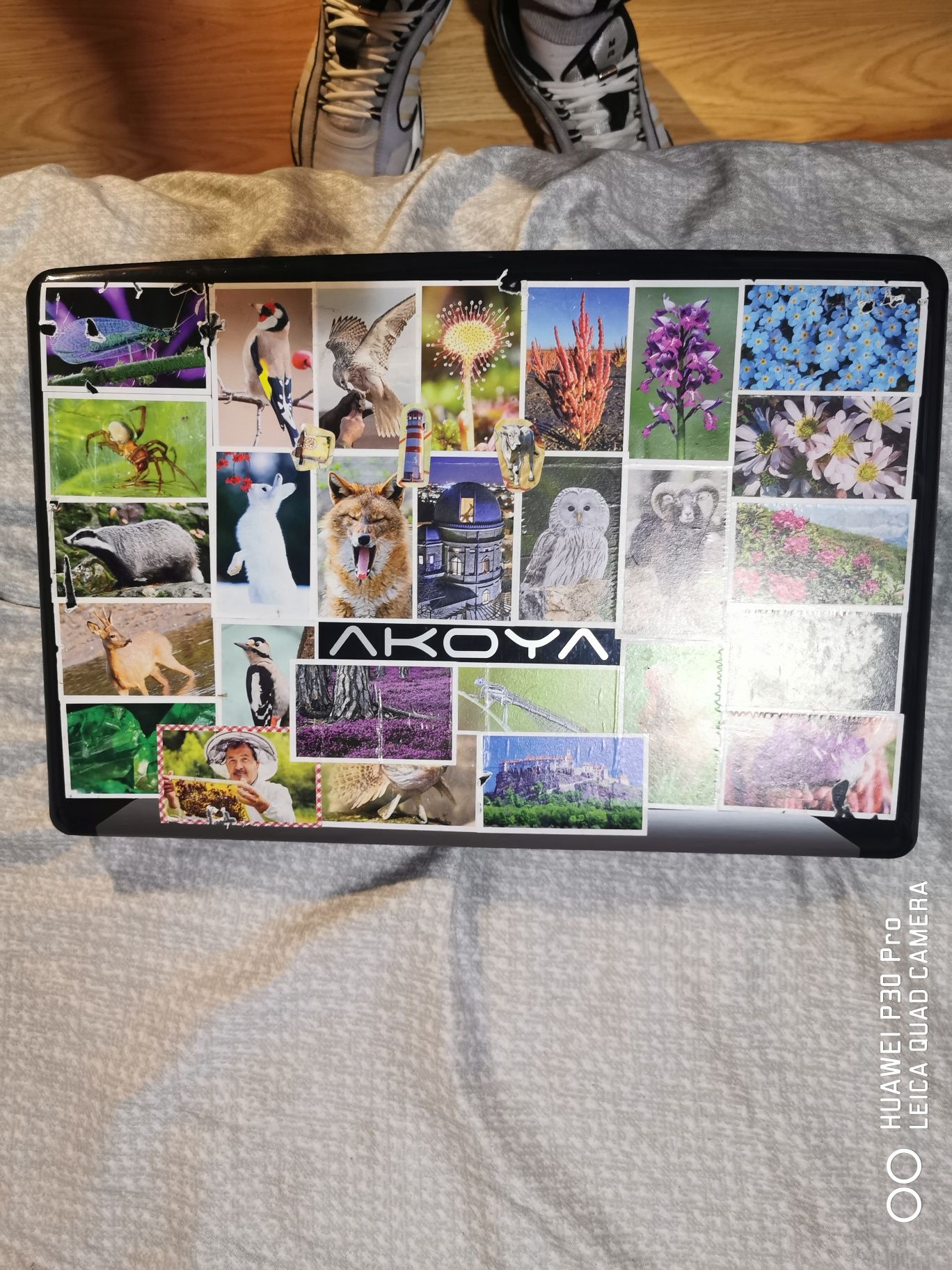 Laptop Medion Akoya 17.3"