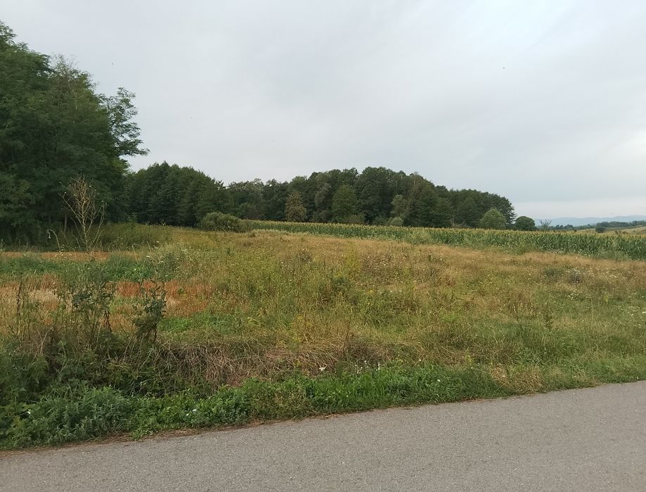 Teren Miloștea Vâlcea