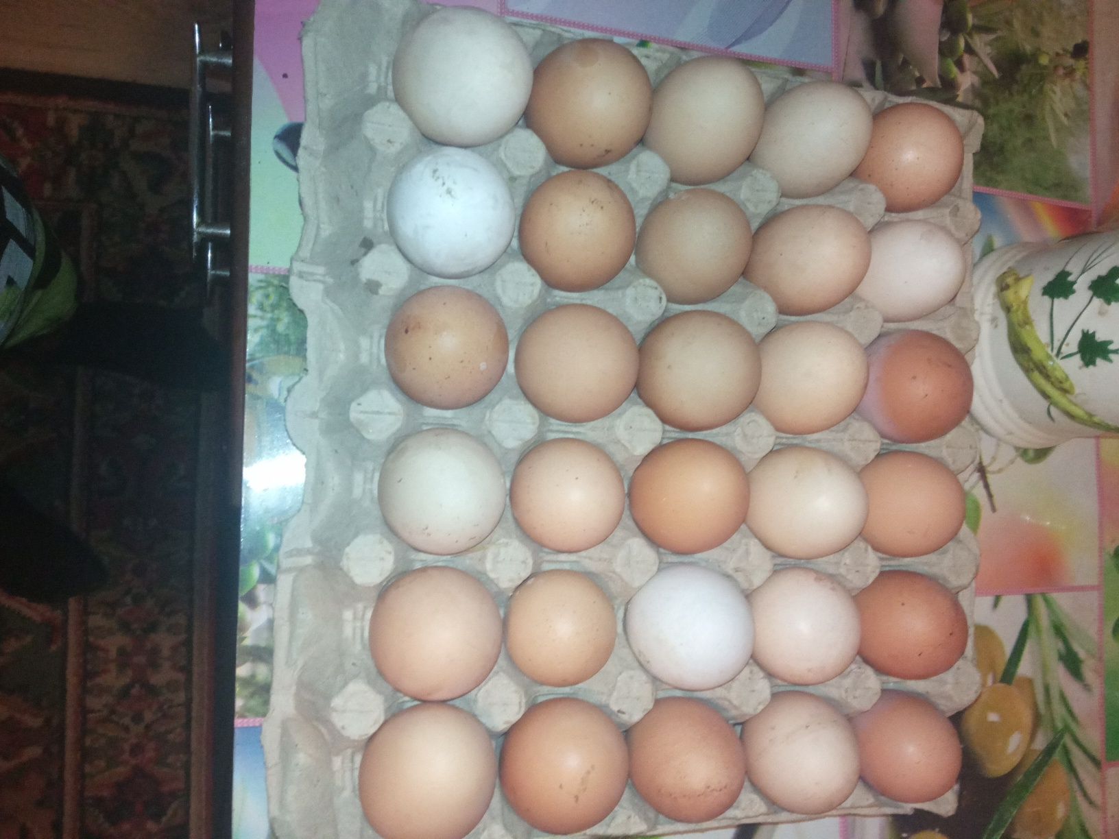 ouă proaspete de găină