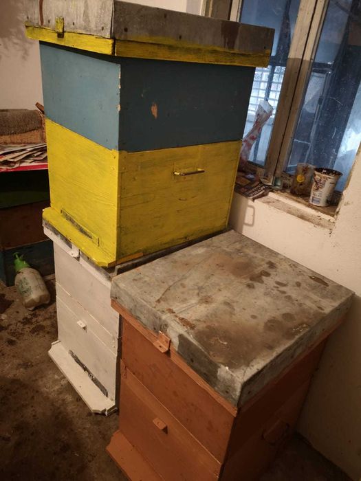 Vând cutii stupi albine.