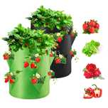 Set 2 Saci Plantare Capsuni/plante Gradina 40L 35 x 35 x 43 cm