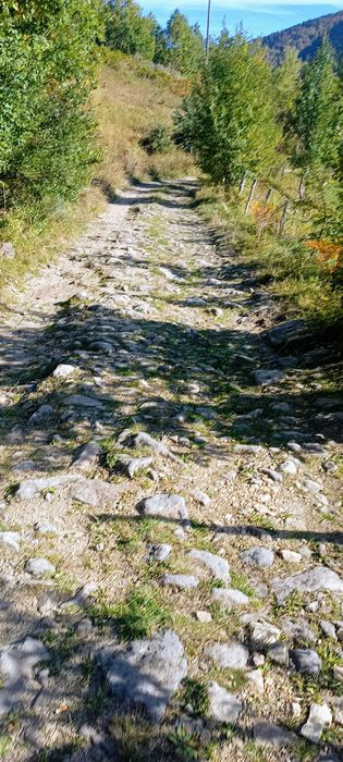 Продава се Земеделски имот в с. Сивино, Област Смолян -  кв.м за 1900 €/дка - Снимка #5