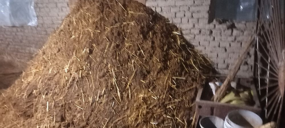 Mol gongi tekinga bervoraman