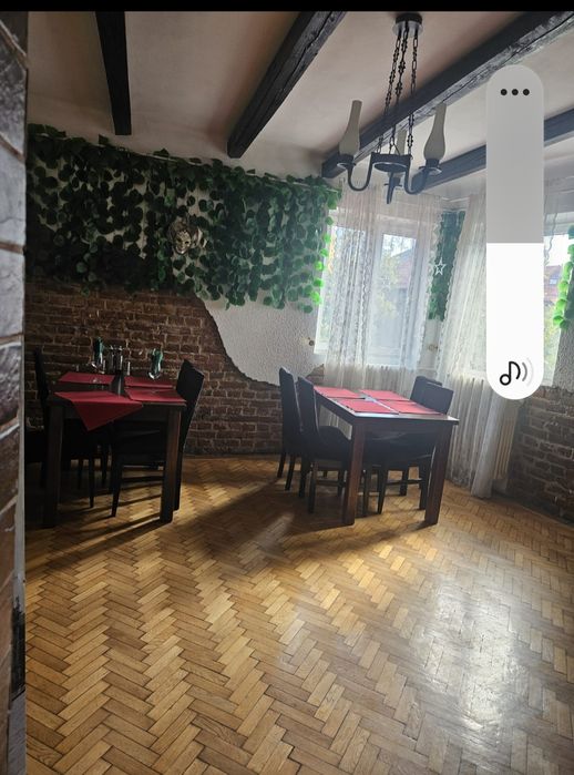 Vila,Decebal-Dristorului tradal