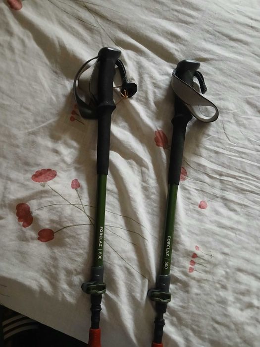 Туристически щеки