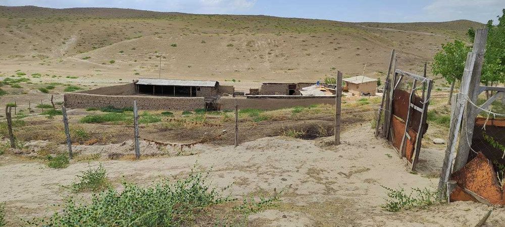 Зоминда 20 сотих ер-участка, чорвачилик учун идеал жой сотилади