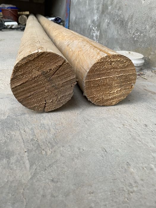 Сасна дарахтидан тайёрланган махсулотлар