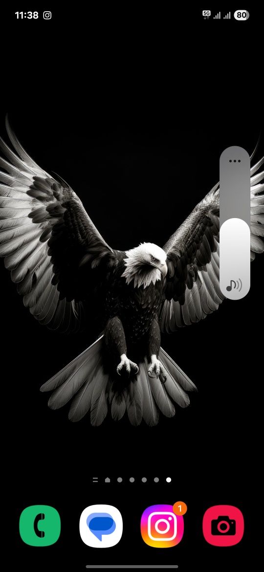 Samsung S 21 Fe .