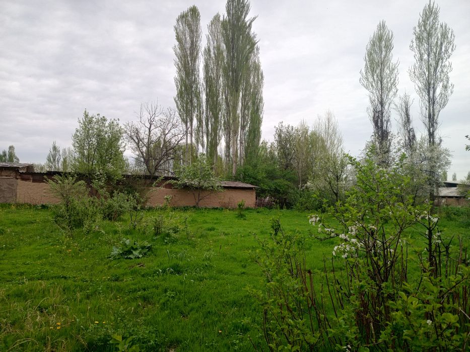 Yer xovli sotiladi 24 sotix aray hoji kolga kerurishda kavardanda