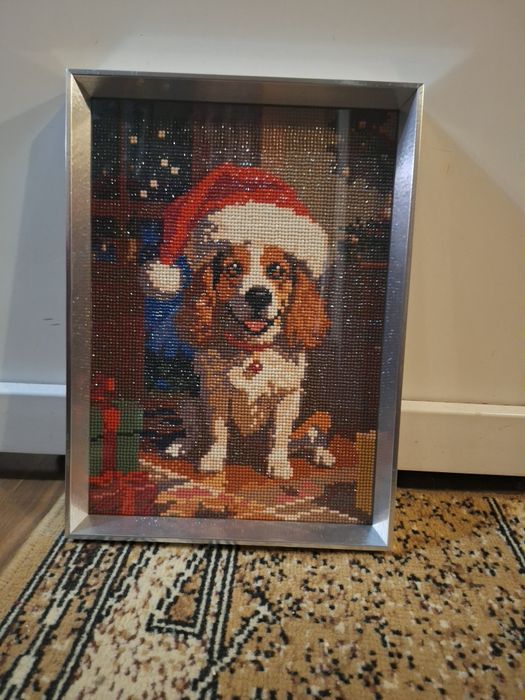 Picturi cu diamante la gata