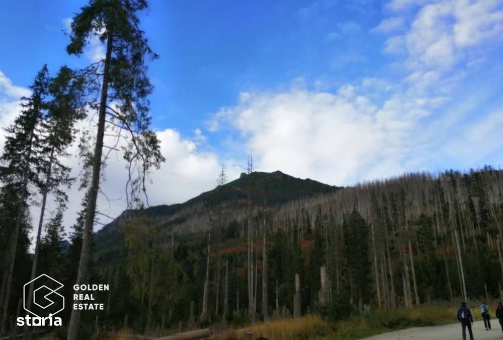 Padure de stejar, Ususau, suprafata 29.800 mp, comision 0%