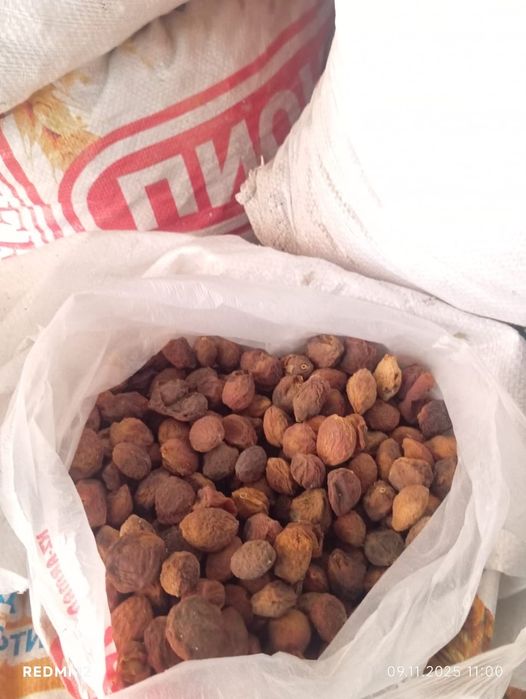 Сатылады.кг500 келісеміз