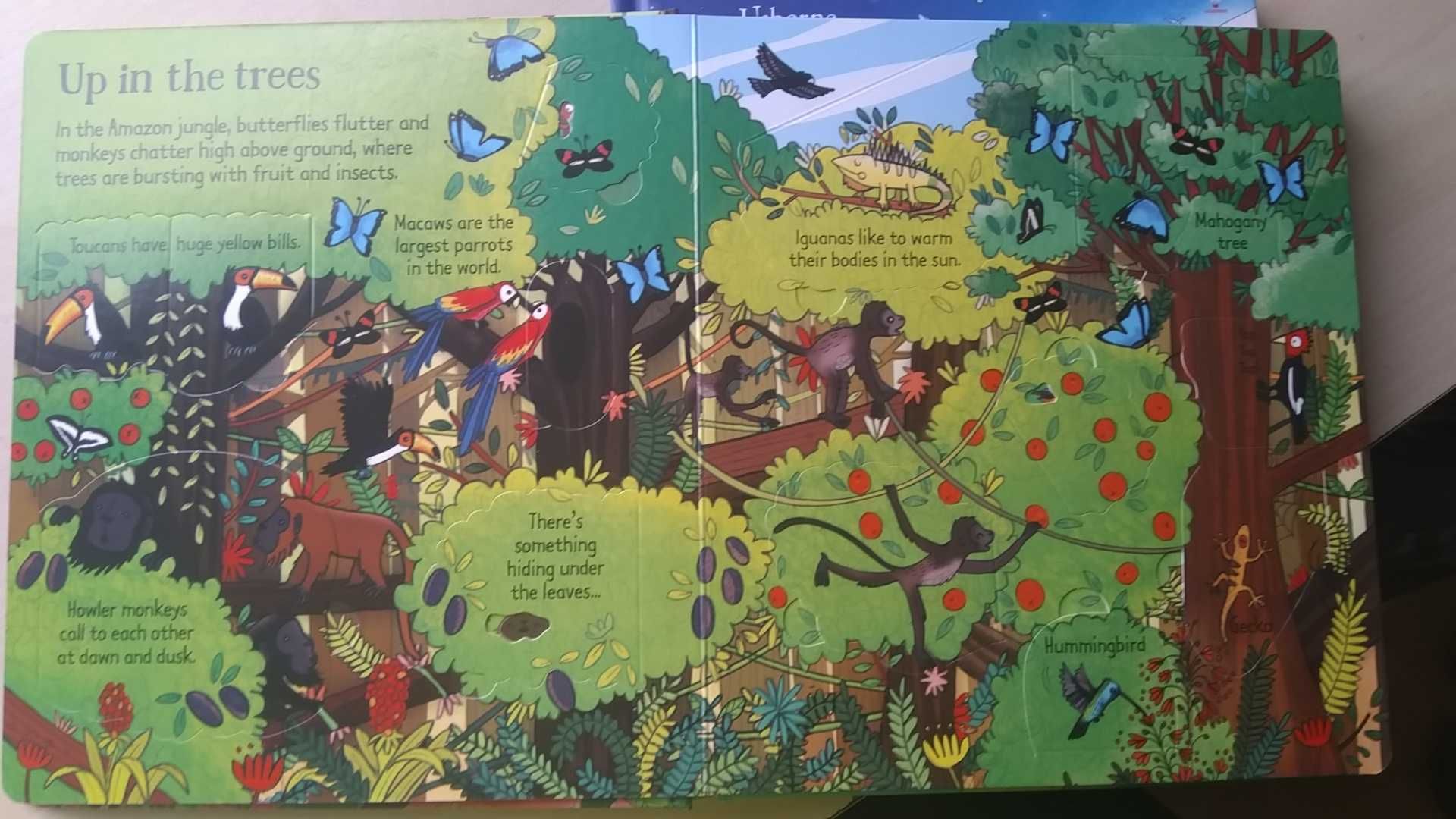 Нови детски енциклопедии с капачета на английски език