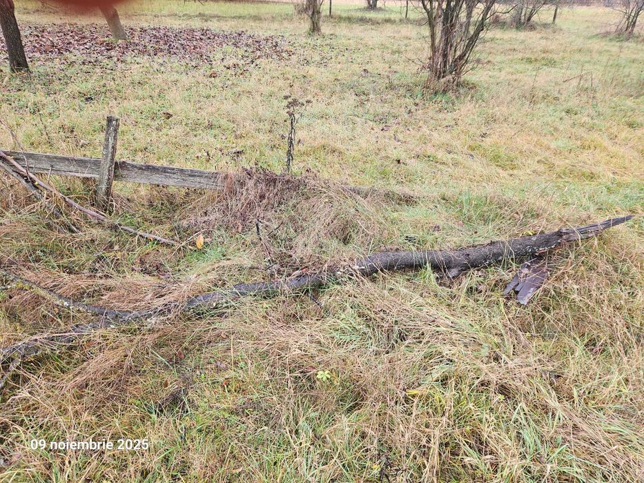 Lemne de vânzare în Pietroșani, județul Argeș.