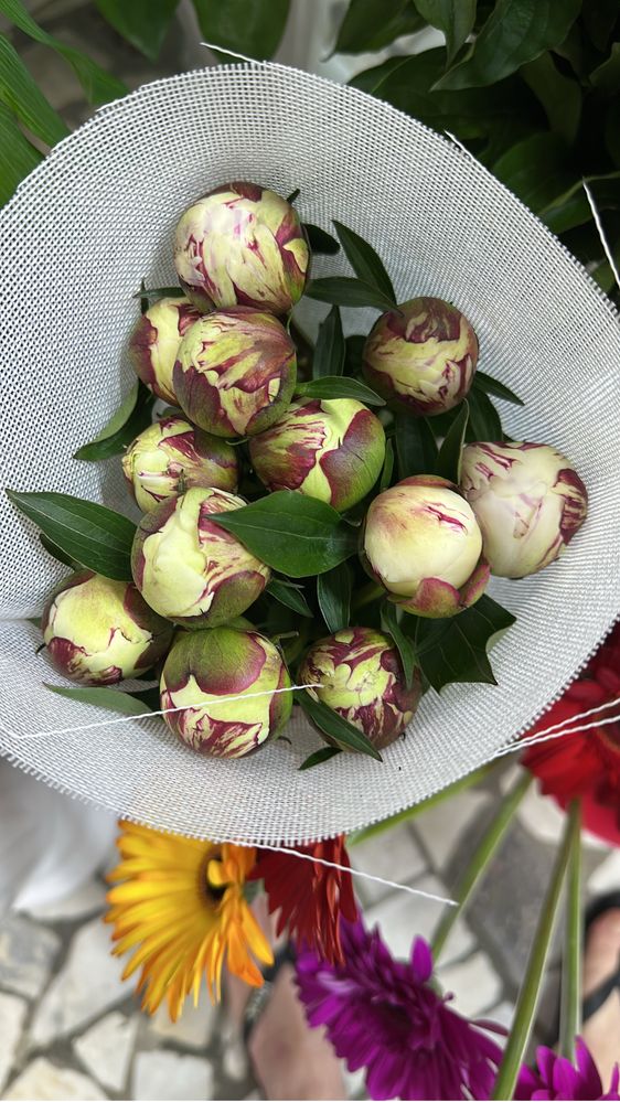 Пионы в любом количестве