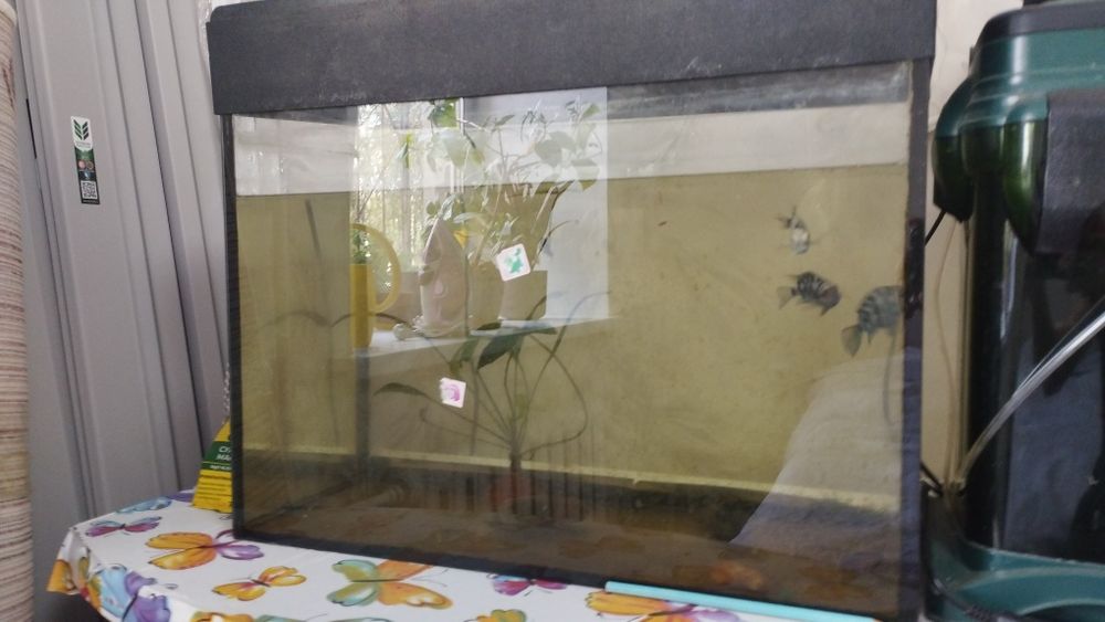 Продам Аквариум 50л