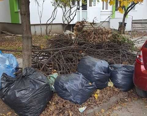 Defrișare - Tai tund iarba - debarasare resturi vegetale - erbicidare