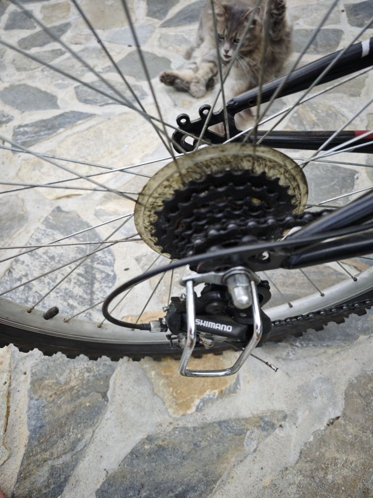 Bicicleta DHS Climber