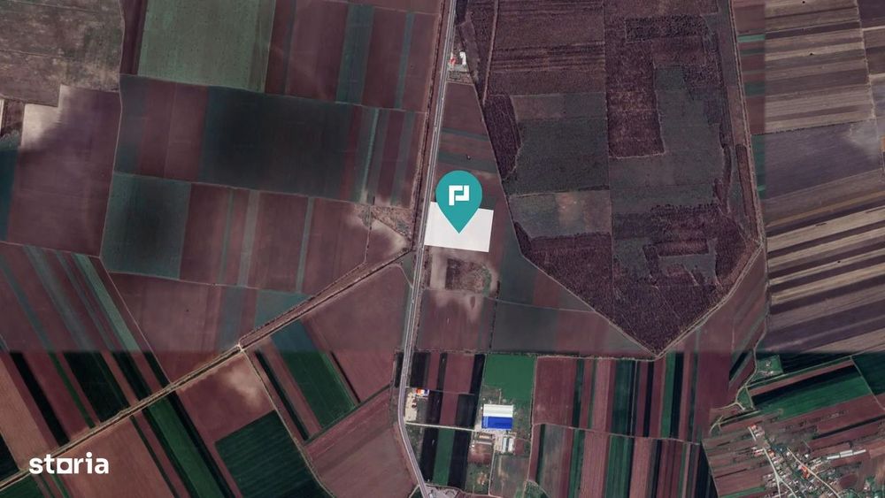 Teren 48300 mp, Daia, Giurgiu