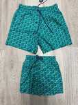 sort de baie wilebrequin, slip, L