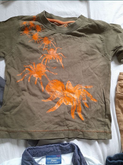 set haine marimea 92 98 2 3 ani baieti băiat coccodrillo pepco