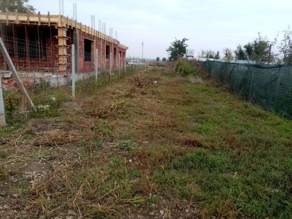 Teren de vanzare Letea Veche Bacau