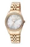 Ceas Original Roberto Cavalli
