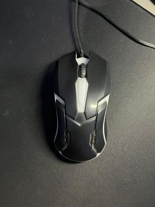 мышка для компьютера