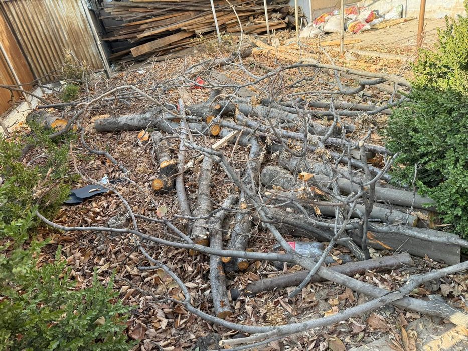 Дрова Отын Дрова