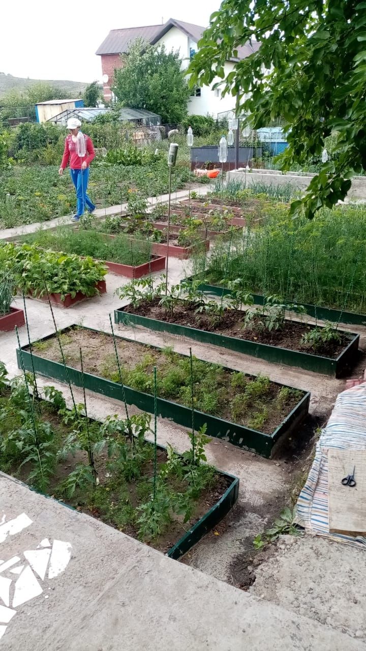 Продам дачу 12 соток