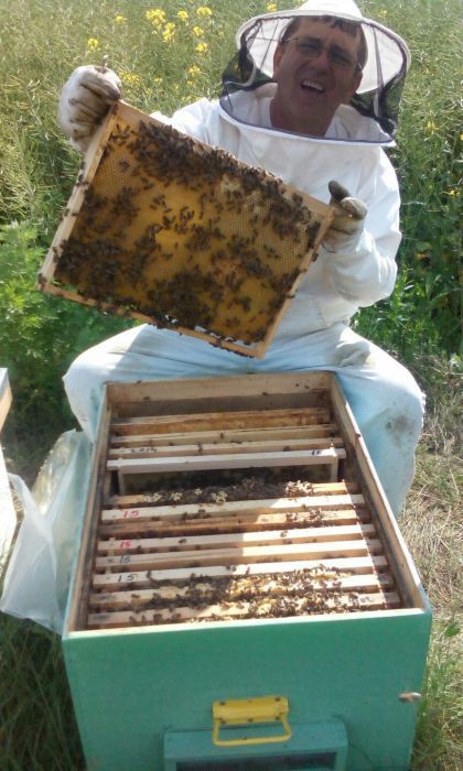 Miere de vanzare productie 2024