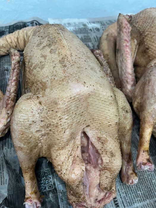 Продам гусей 3000