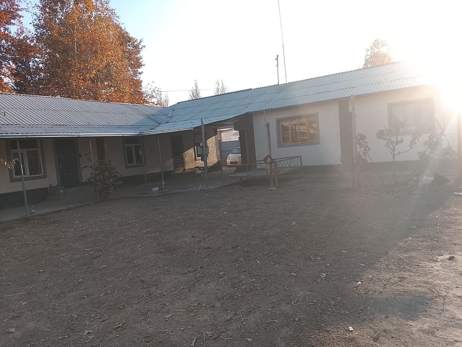 Срочна 8 сотихли ховли сотувга чикти