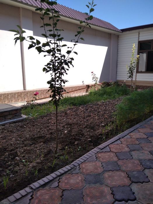 Sergeli Xonabad Beruniy mahallada