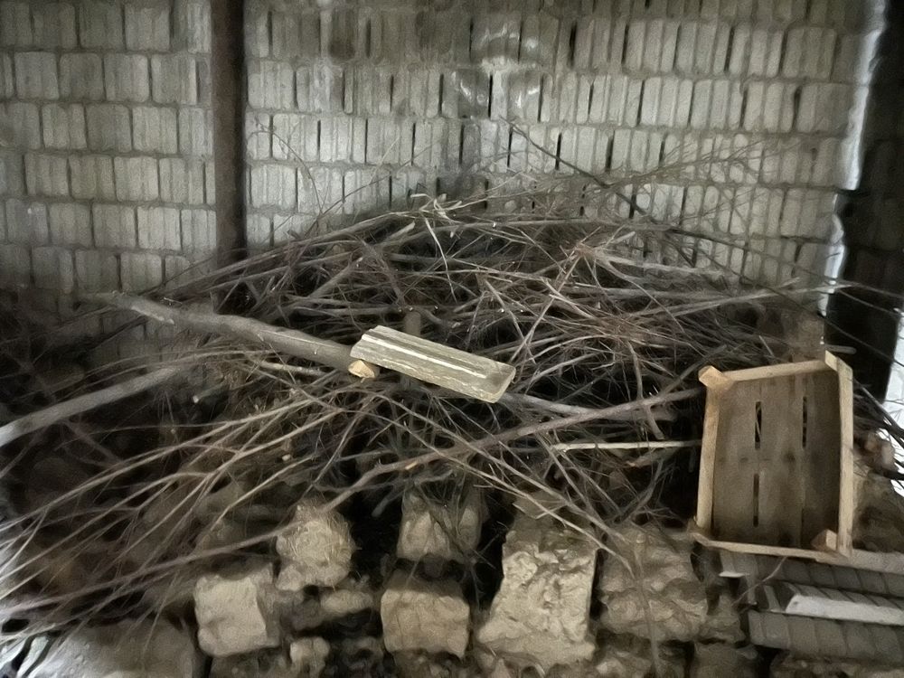 Отын ағаштар и глина блок