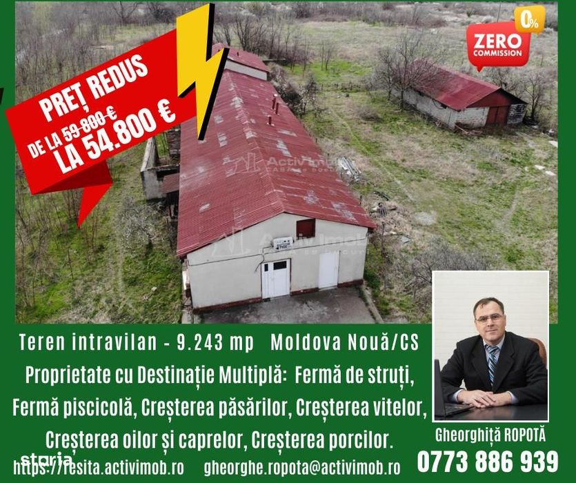 Moldova Noua, Proprietate cu Destinatie Multipla: Hala ProductieProces