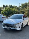 Byd chazor Hybrid Srochniy