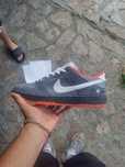 Nike Dunk SB Low Pigeon