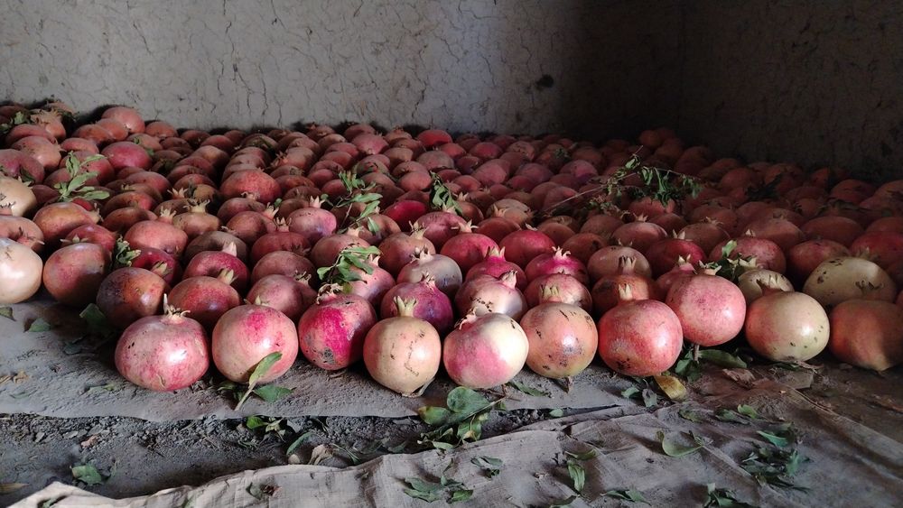 Anor sotiladi shirin nordon