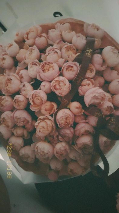 Цветы пионы красивые