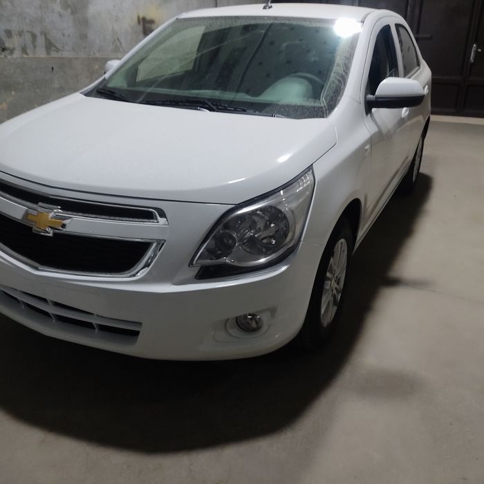 Cobilt sty 2025 masla moshna