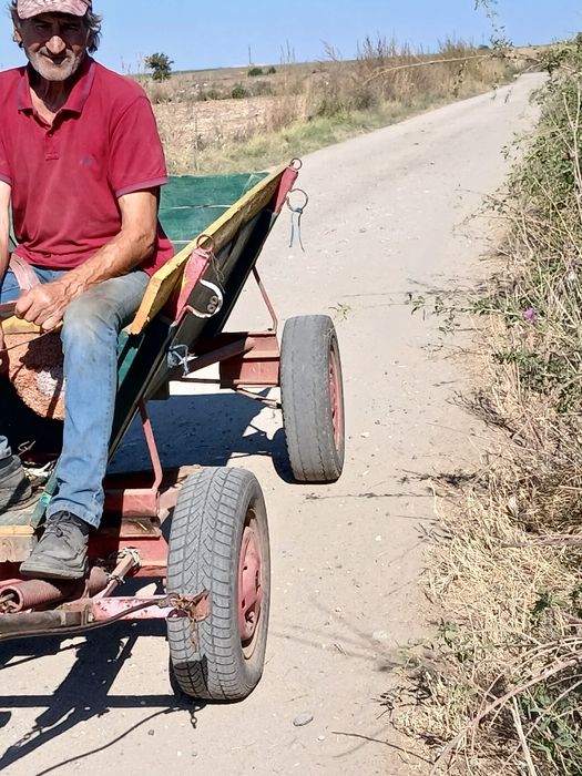 Vand magar cu tot cu căruță si ham