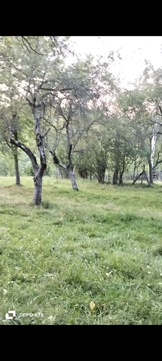 Vând teren pt casa de vacanta  langă Curtea de Argeș