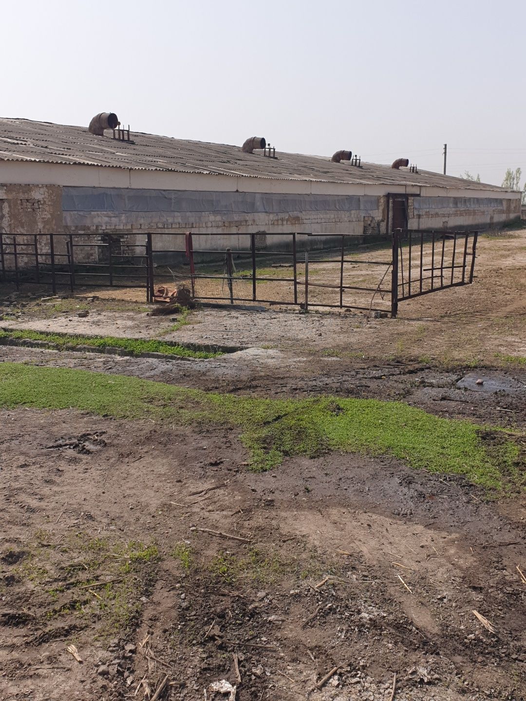 Продаётся ферма для скота 6 гектаров кадастр имеется Ташкент область у