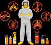 Servicii Profesionale de Dezinsecție – CEL MAI SCAZUT PRET! SUNA ACUM!