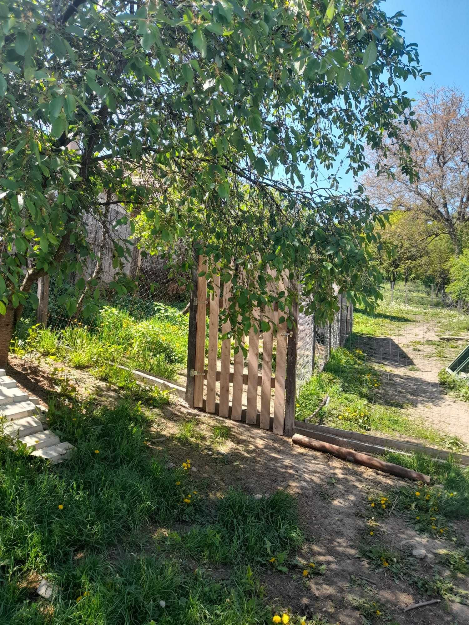 Vand casa in Lupu (langa Blaj,Alba)