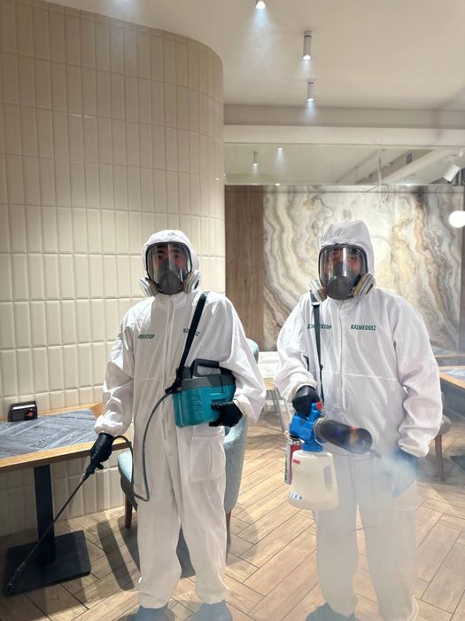 Дезинфекция, СЭС город Семей, тараканов и клопов