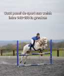 Caut ponei de sport