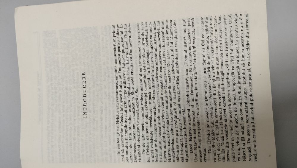 Chipul nemuritor al lui Dumnezeu, Dumitru Stăniloae