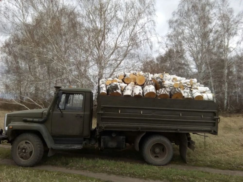 Газон березы дешево